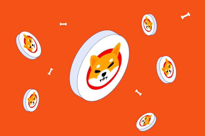 Floating shiba Inu coins with floating bones in front of orange background