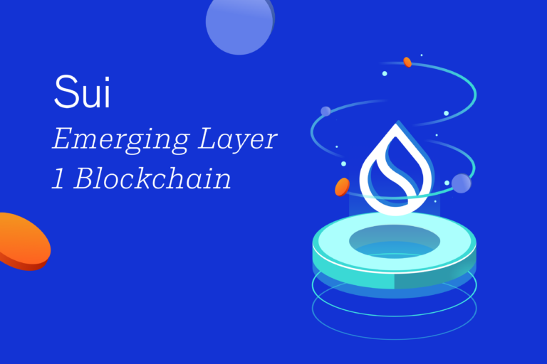 Sui: An Emerging Layer 1 Blockchain